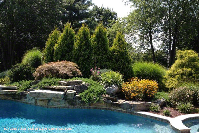 landscape plantings poolside
