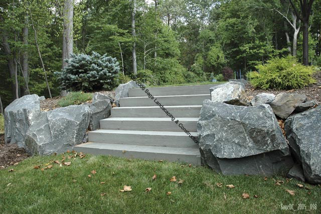 STEPS Photo 9  (SAGE ID: DC_098)